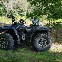 Quad Yamaha Big Bear 350