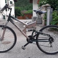 bicicletta