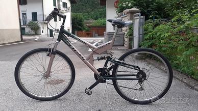 bicicletta