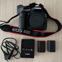 Canon 80d