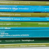 Libri usati Zanichelli per medie