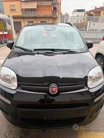 Fiat pandina