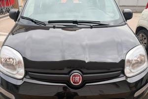 Fiat pandina