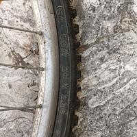 Bicicletta Bambina 24"