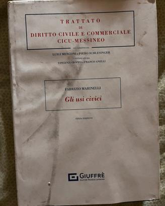Libro Diritto civile e commerciale