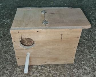 Nido per cocorite, pappagallini