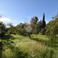 TER. RESIDENZIALE A TRIESTE