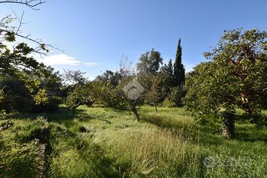 TER. RESIDENZIALE A TRIESTE