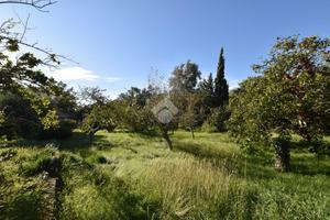 TER. RESIDENZIALE A TRIESTE