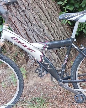 Bici economiche uomo, donna, ragazzo, bambino