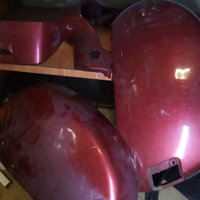 Vespa cosa
