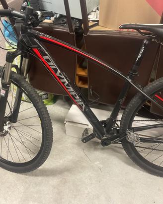 MTB Olympia nitro (versione muscolare)