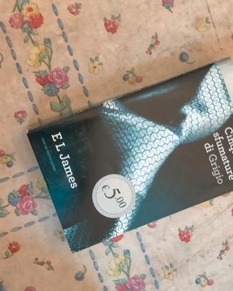 libro cinquanta sfumature di grigio 