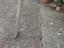 Immagine 1