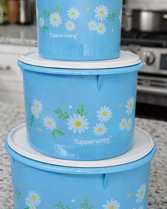 Set tupperware