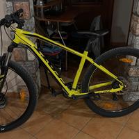 Bici scott L