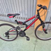 Bicicletta COPPI con cambio