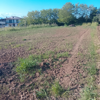 Terreni agricoli