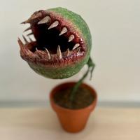 Pianta carnivora con denti