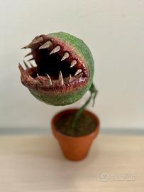 Pianta carnivora con denti