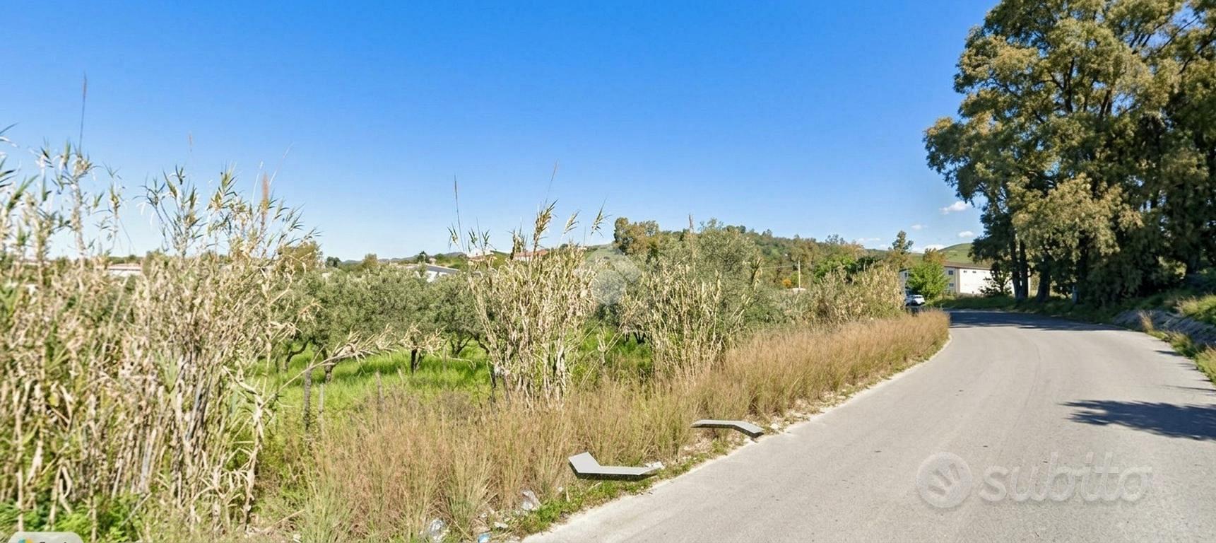 TER. AGRICOLO A SIMERI CRICHI - Altro
