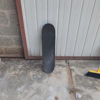 skateboard roces