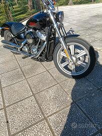 harley Davinson softail 107