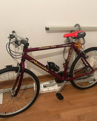bicicletta nevada