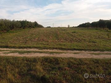 Terreno agricolo pianeggiante