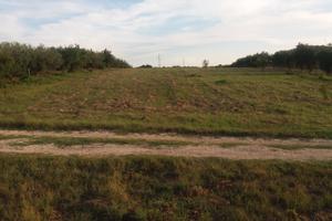 Terreno agricolo pianeggiante