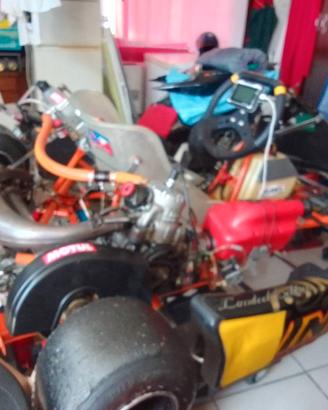 INTREPID Cruiser kart  KF 125 monomarcia