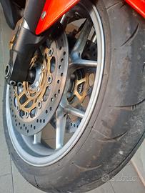 Dischi Triumph Speed Tiger 1050