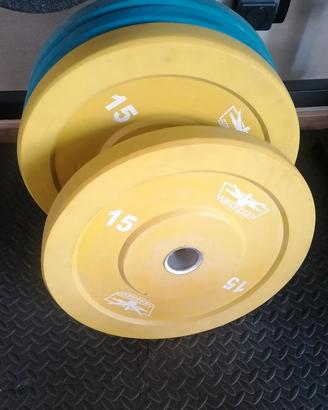 dischi da  20 kg inacciaio gommato