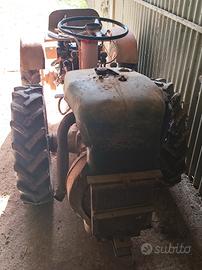 Pasquale 14 cv