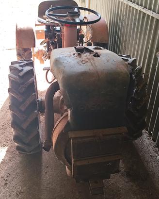 Pasquale 14 cv