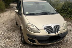 Lancia musa