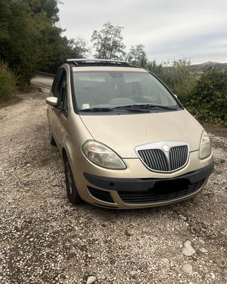 Lancia musa
