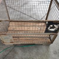 Contenitore in ferro