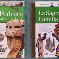 2 libri architettura Gaudì