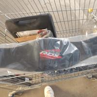 Cintura sollevamento pesi (Squat/Stacchi)