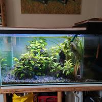 Acquario 450L ca