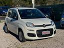 fiat-panda-1-2-benzina-2018