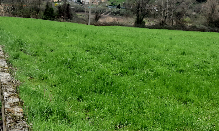 Vendita terreno industriale