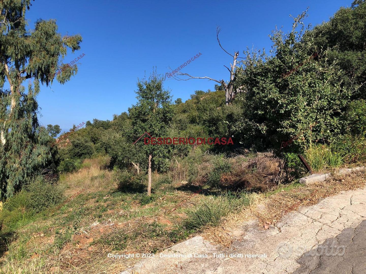 Terreno, Cefalù. - Vista 4