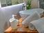 Immagine 10