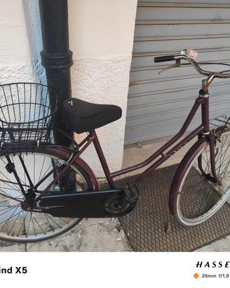 Bici da donna bordeaux