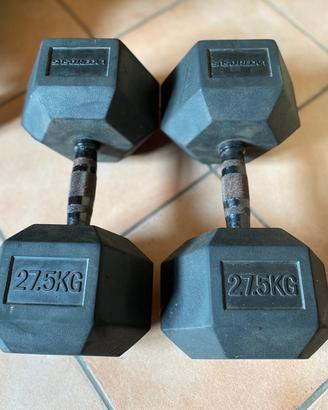 Coppia manubri Lacertosus 27,5kg
