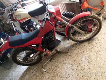 Beta tr32