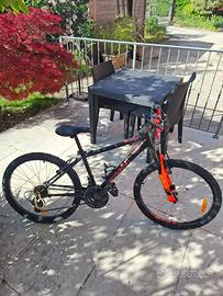 mountain bike