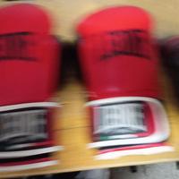 Guanti da boxe 